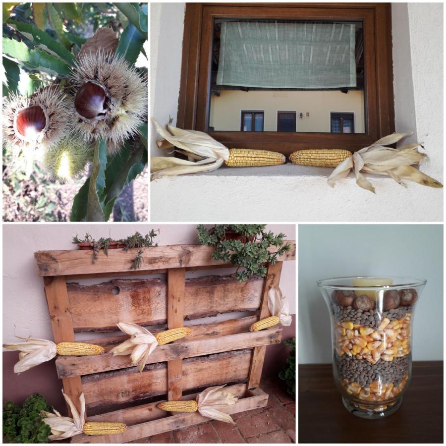 Ca' Di Burghi Hotel Busca Bagian luar foto